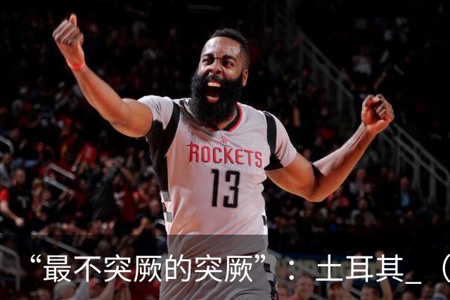 “最不突厥的突厥”：土耳其 （中土网友大战系列之一）