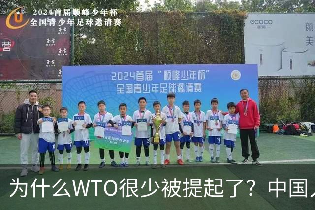 为什么WTO很少被提起了？中国入世谈判花了15年，如今几乎被架空
