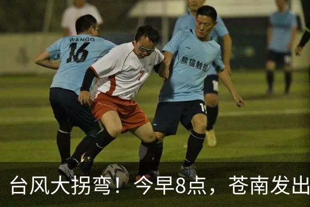 台风大拐弯！今早8点，苍南发出通知！