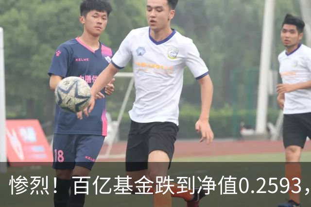 惨烈！百亿基金跌到净值0.2593，暴跌74%！无数基民不敢打开账户