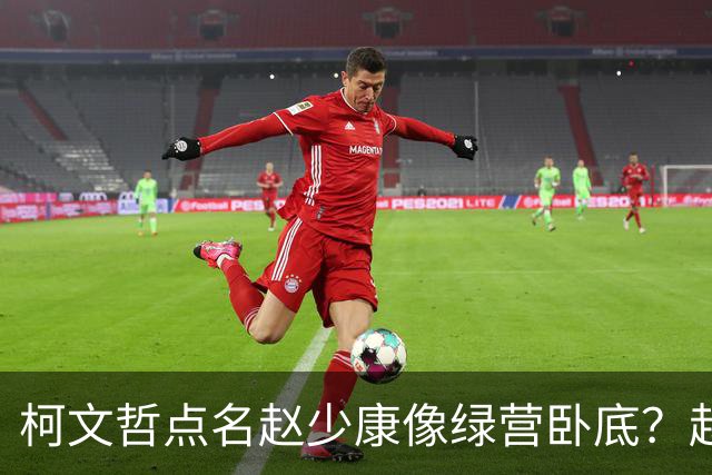 柯文哲点名赵少康像绿营卧底？赵少康急忙回应，柯向郑丽文亮底牌