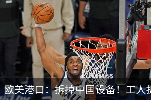 欧美港口：拆掉中国设备！工人拆完，领导：我让你拆的是，Logo