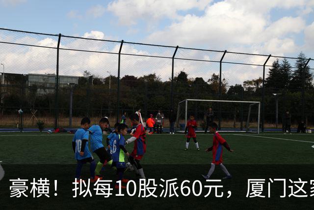 豪横！拟每10股派60元，厦门这家上市公司大手笔分红