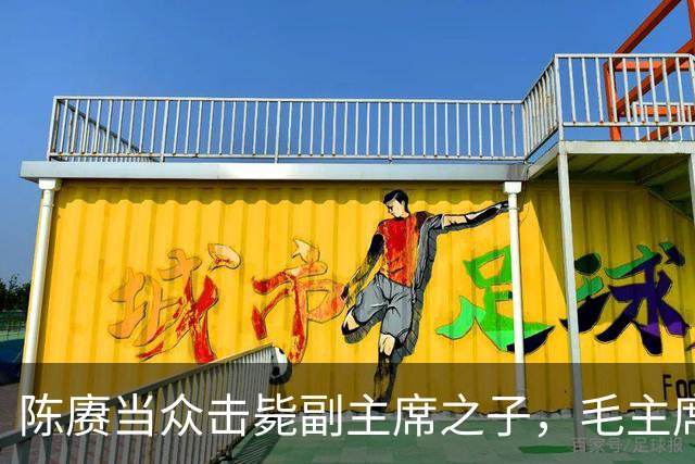 陈赓当众击毙副主席之子，毛主席一言不发，就送了一箱东西